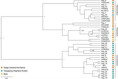The impacts of host traits on parasite infection of montane birds in southwestern China